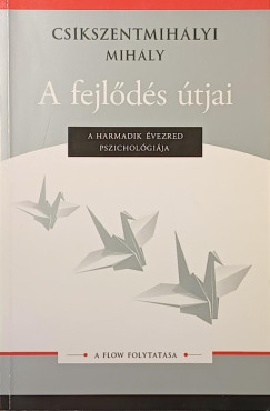 Csíkszentmihályi Mihály - A fejlődés útjai - A flow folytatása