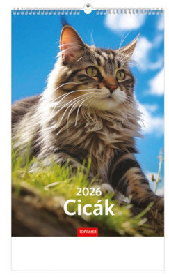Cick falinaptr 22x33 cm - 2026