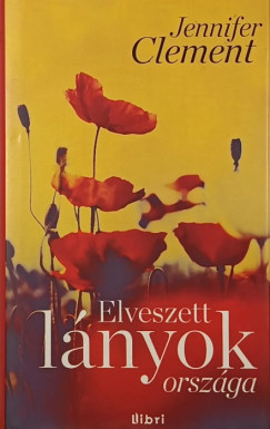 Jennifer Clement - Elveszett lányok országa