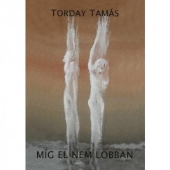 Torday Tams - Mg el nem lobban