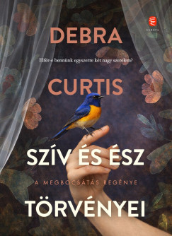 Debra Curtis - Szív és ész törvényei