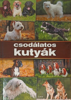 Csod�latos kuty�k