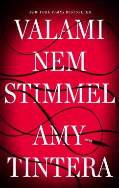 Amy Tintera - Valami nem stimmel