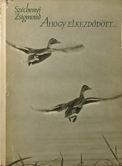 Sz�chenyi Zsigmond - Ahogy elkezd�d�tt...