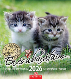 n s a bartaim falinaptr - 19x22 cm - 2026