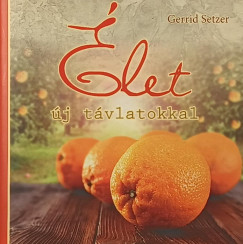 Gerrid Setzer - Élet új távlatokkal