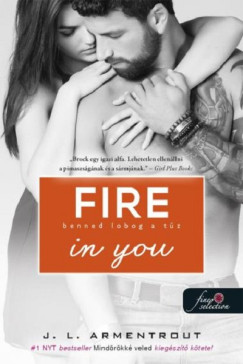 Jennifer L Armentrout - Fire In You - Benned lobog a tz