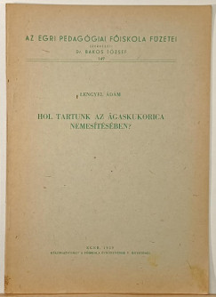 Lengyel �d�m - Hol tartunk az �gaskukorica nemes�t�s�ben?