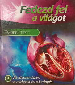 Az idegrendszer, a mirigyek és a keringés