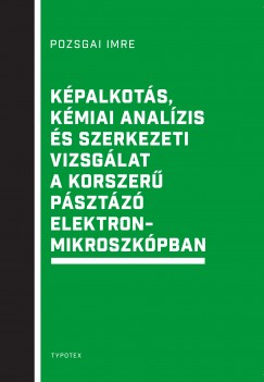 Pozsgai Imre - Kpalkots, kmiai analzis s szerkezeti vizsglat a korszer psztz elektronmikroszkpban