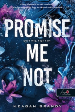 Meagan Brandy - Promise Me Not - Ígérd meg, hogy nem!