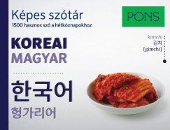 PONS Kpes sztr Koreai-Magyar
