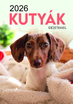 Duzs Mria   (Szerk.) - Kutyk falinaptr - 33x23 cm - 2026