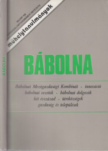 Lengyel Zsuzsa  (szerk.) - B�bolna (M�helytanulm�nyok)