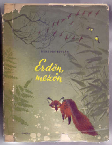 Brsony Istvn - Erdn, mezn - Vadsztrtnetek