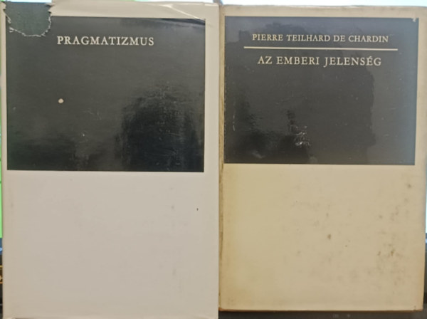 Pierre Teilhard De Chardin - Filoz�fiai k�nyvcsomag