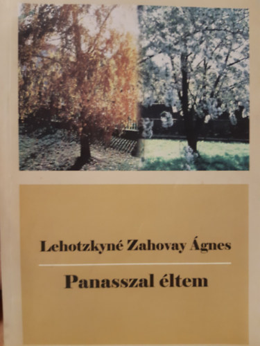 Lehotzkyné Zahovay Ágnes - Panasszal éltem