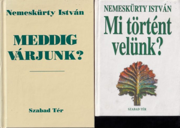 Nemeskrty Istvn - Meddig vrjunk? + Mi trtnt velnk? (2 db)