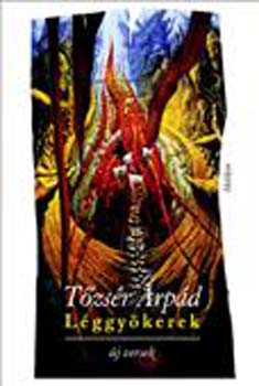 T�zs�r �rp�d - L�ggy�kerek