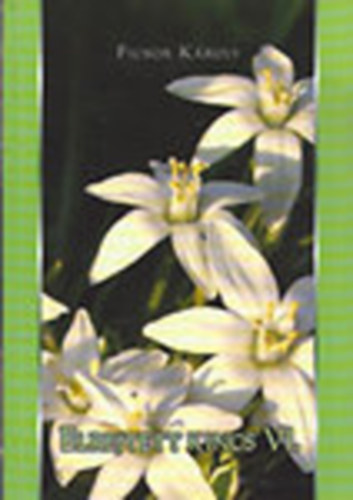 Ficsor K�roly - Elrejtett kincs VI.