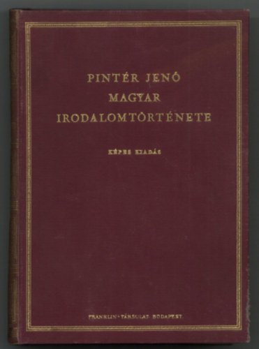 Pintér Jenő - Pintér Jenő magyar irodalomtörténete I.