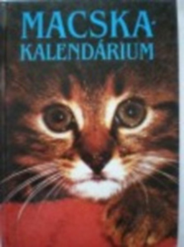 Macska kalendárium - Versek, elbeszélések vallomások+Macskák-hasznos tudnivalók vásárlásról,gondozásról,táplálásról,betegségekről