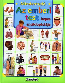 Gisela Scolovsky Rudi - Az emberi test kpes enciklopdija