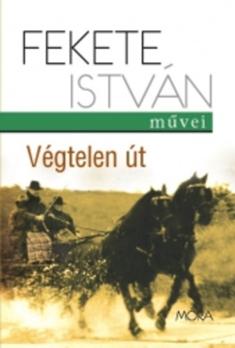 Fekete Istv�n - V�gtelen �t