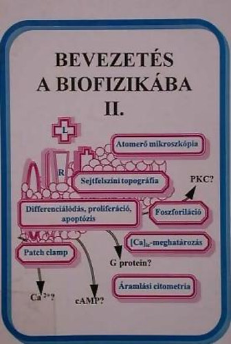 Damjanovich Sndor - Bevezets a biofizikba II.