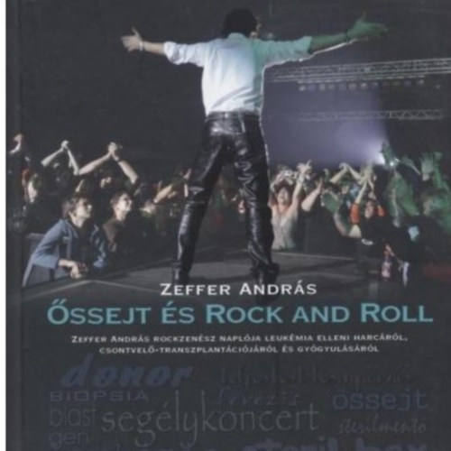 Zeffer Andrs - ssejt s Rock and Roll