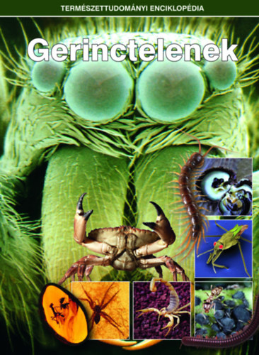 Gerinctelenek