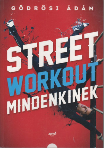 Gdrsi dm - Street workout mindenkinek