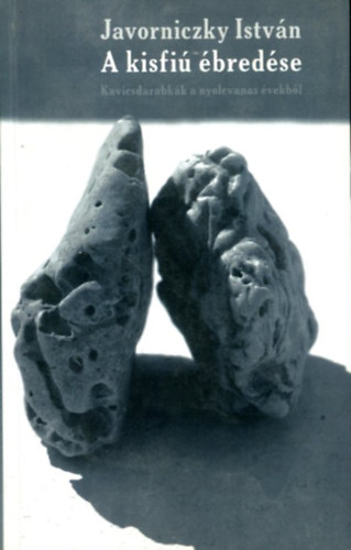 Javorniczky Istvn - A kisfi bredse