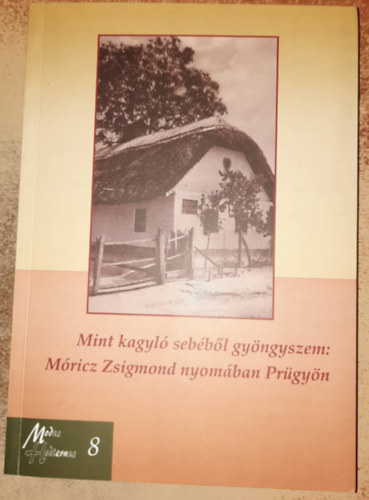 Szilágyi Péter, Hegyi Katalin, Várnai Judit Szilvia - Mint kagyló sebéből gyöngyszem: Móricz Zsigmond nyomában Prügyön