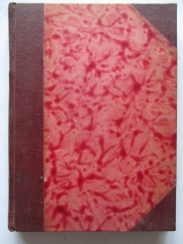 Lánczy Péter - Ellopták!...