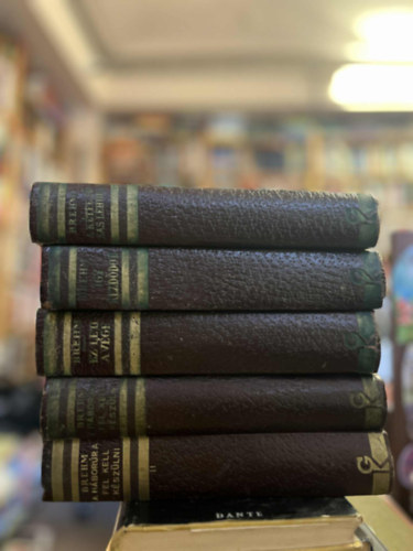 Bruno Brehm - 5 db Bruno Brehm