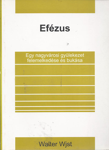 Walter Wjst - Efzus - Egy nagyvrosi gylekezet felemelkedse s buksa