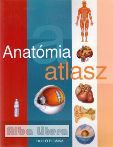 Anatmia atlasz