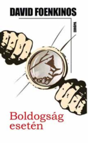 David Foenkinos - Boldogs�g eset�n
