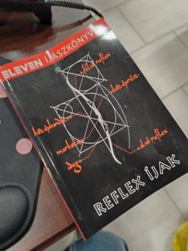 Szab� Zsolt Nagy G�bor - Reflex �jak