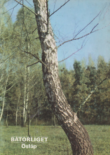 Bátorliget - Ősláp