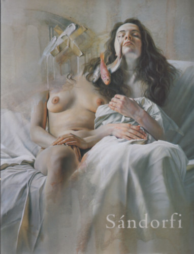 Makl�ry K�lm�n  (szerk.) - S�ndorfi (S�ndorfi Istv�n �letm�-ki�ll�t�sa, 2007. �prilis 12. - j�nius 3.)