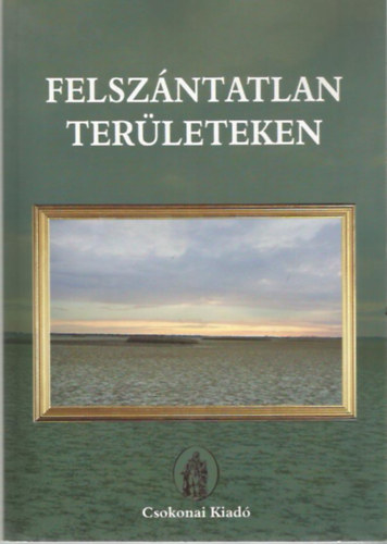 Feny Imre  (szerk.) - Rbay Magdolna  (szerk.) - Felszntatlan terleteken