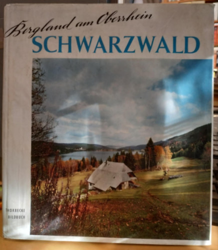 Robert Feger Ekkehard Liehl - Bergland am Oberrhein Schwarzwald (Jan Thorbecke Verlag)