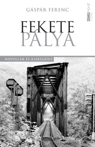 G�sp�r Ferenc - Fekete p�lya