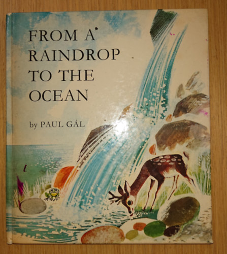 Paul G�l - From the Raindrop to the Ocean