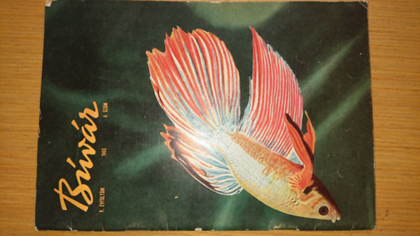Bvr magazin V. vfolyam (1960) 4. szm