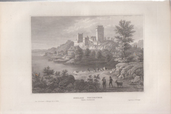 Schloss Weideneck (Nieder-Oesterreich) (Weideneck v�ra, Ausztria, Eur�pa) (16x23,5 cm m�ret� eredeti ac�lmetszet, 1856-b�l)