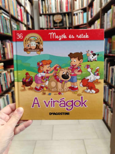 A virágok- Mezők és rétek 36