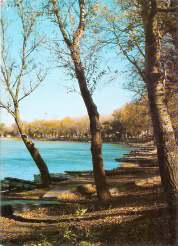 fot�:Vass�nyi B�la - H�dmez�v�s�rhely (magyar-angol)